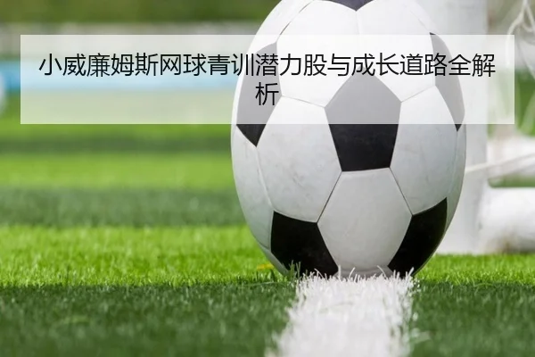 小威廉姆斯网球青训潜力股与成长道路全解析 - wukongsports